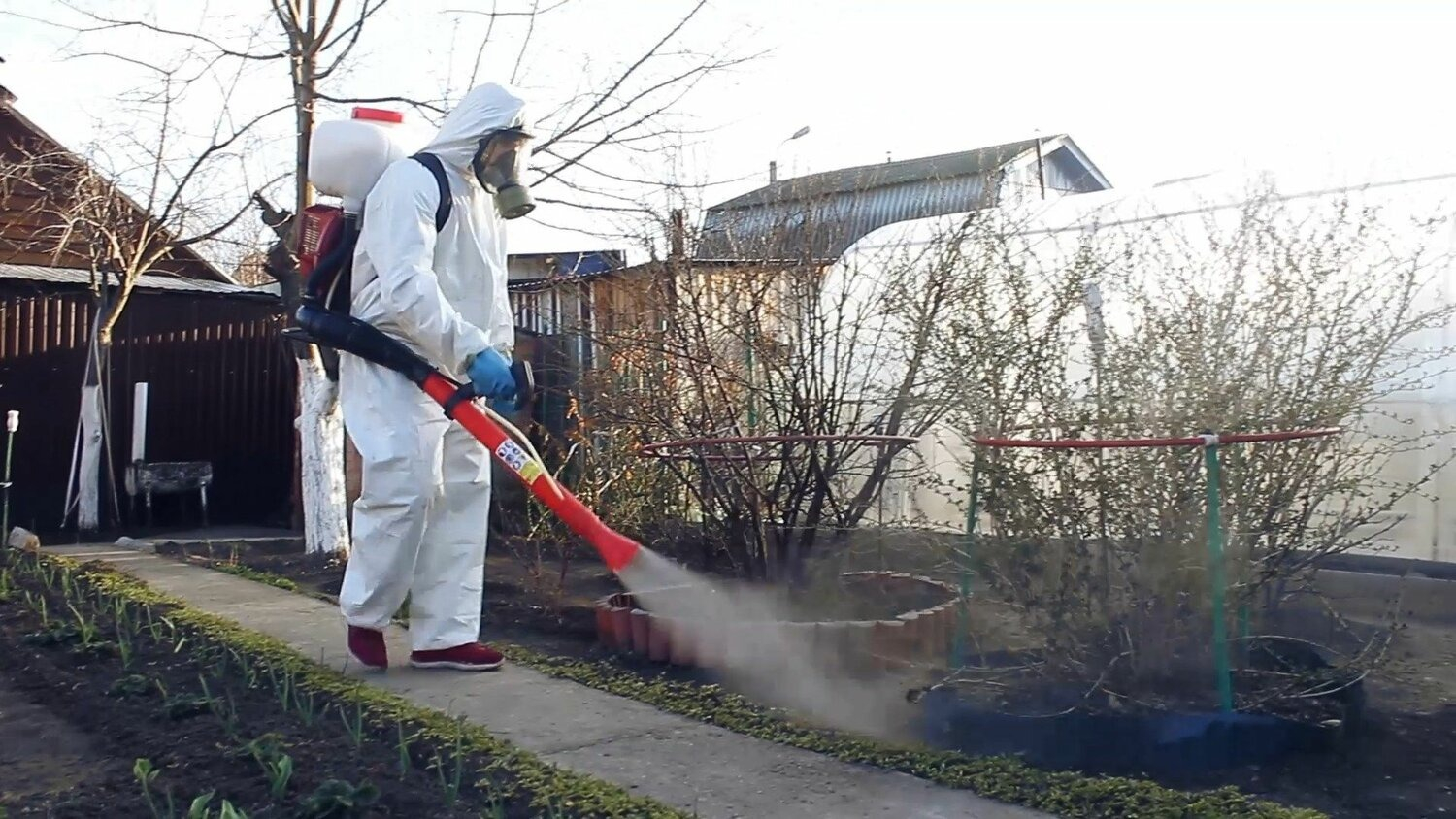 ФОТО Уничтожение муравьёв в Пироговском