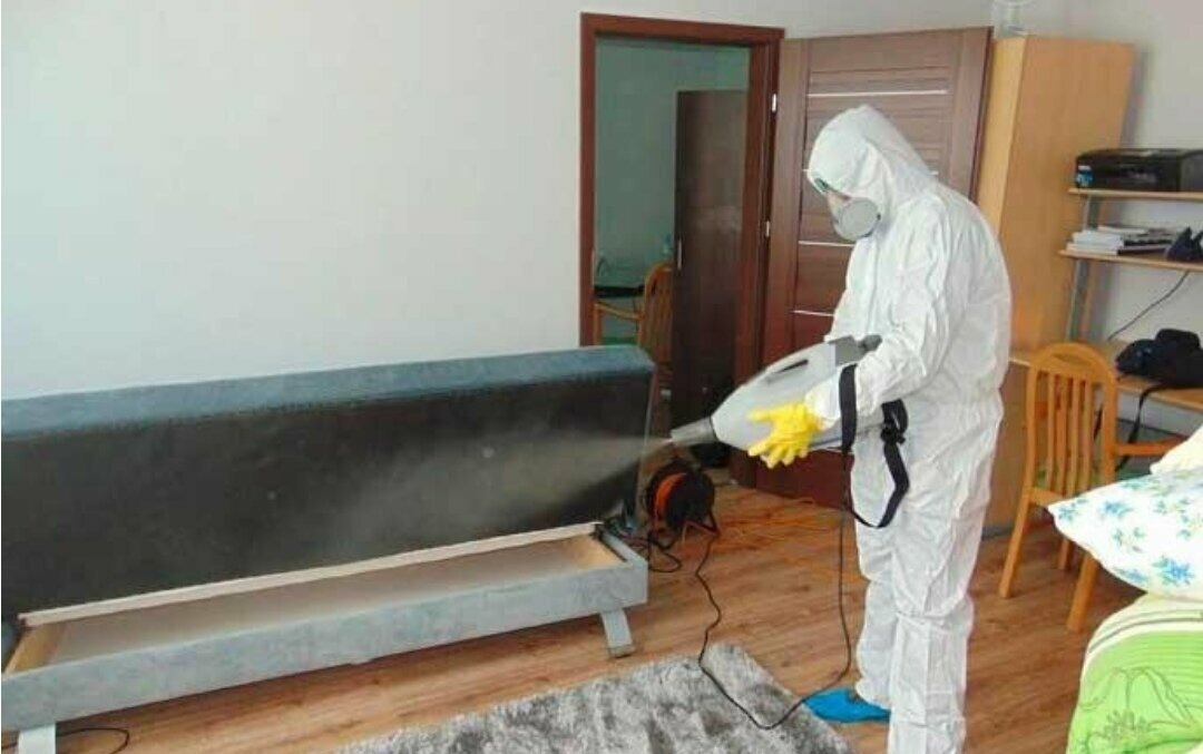 ФОТО Уничтожение блох в Пироговском