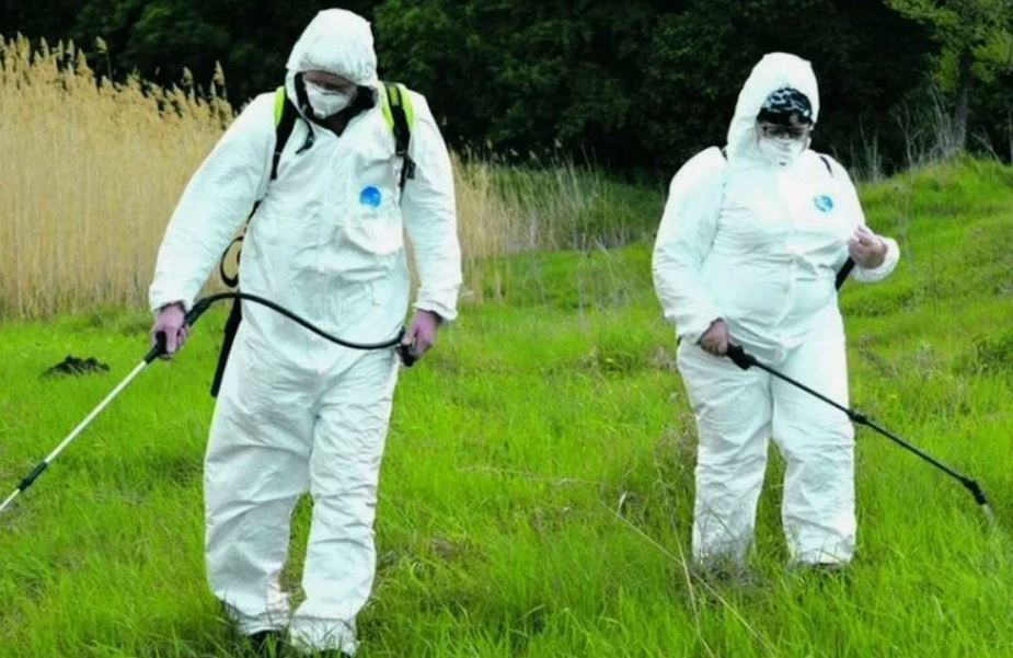 ФОТО Обработка от клещей в Пироговском