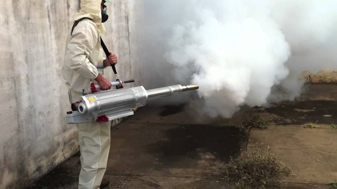 ФОТО Уничтожение мух в Пироговском