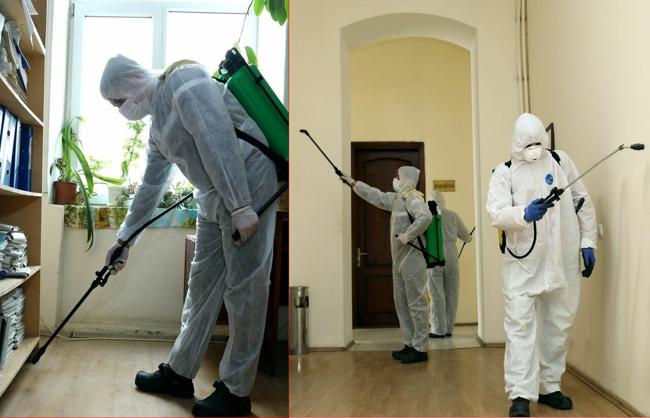 ФОТО Требуется ли лицензия для дезинсекции и дезинфекции в Пироговском? | подробно