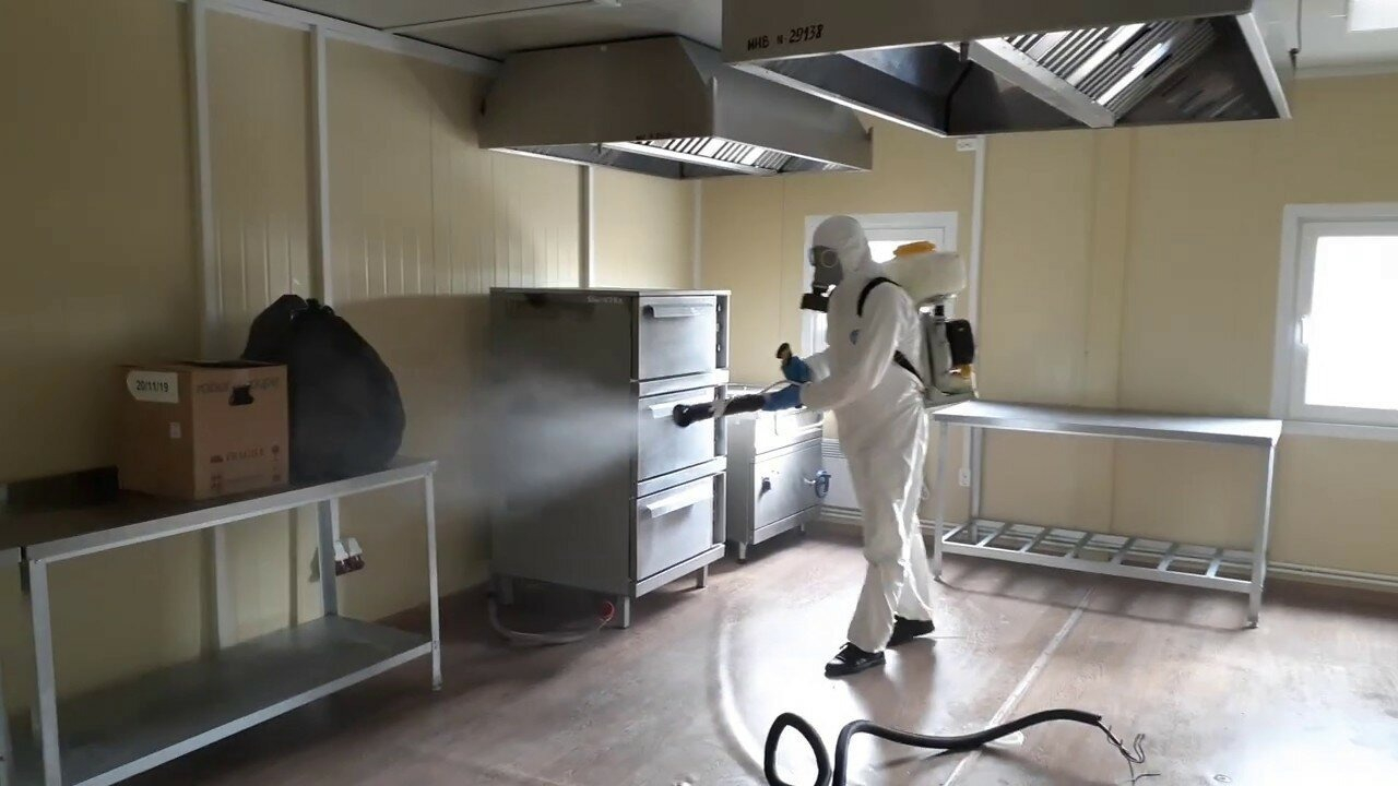 ФОТО Можно ли провести дезинсекцию самостоятельно и какие существуют риски в Пироговском? | подробно