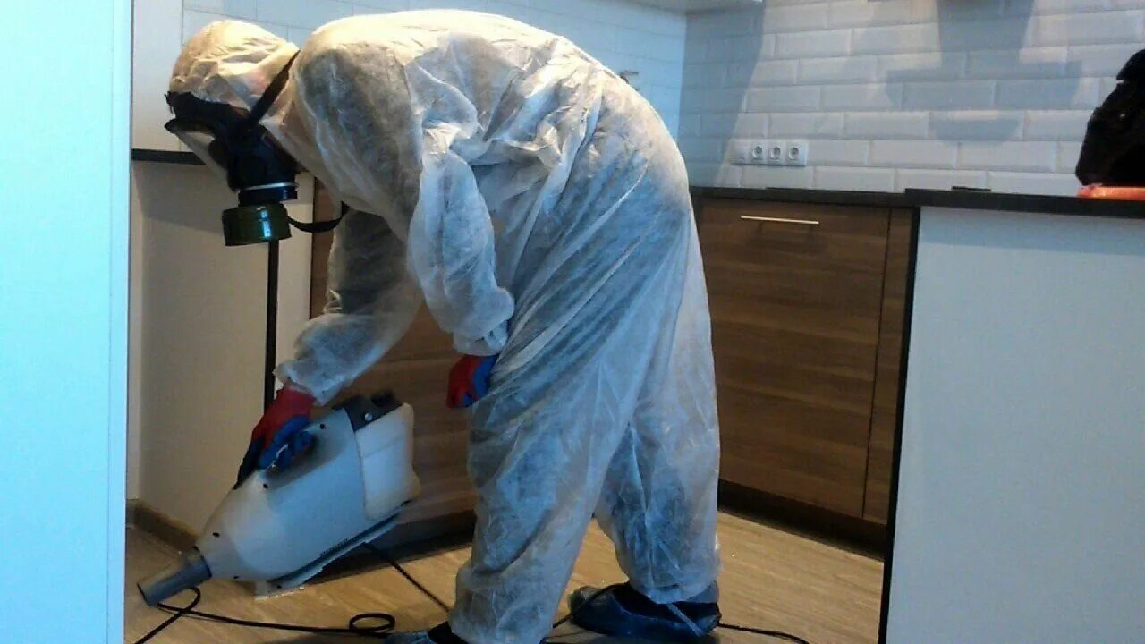 ФОТО Как подготовить домашних животных к обработке от насекомых в Пироговском? | подробно