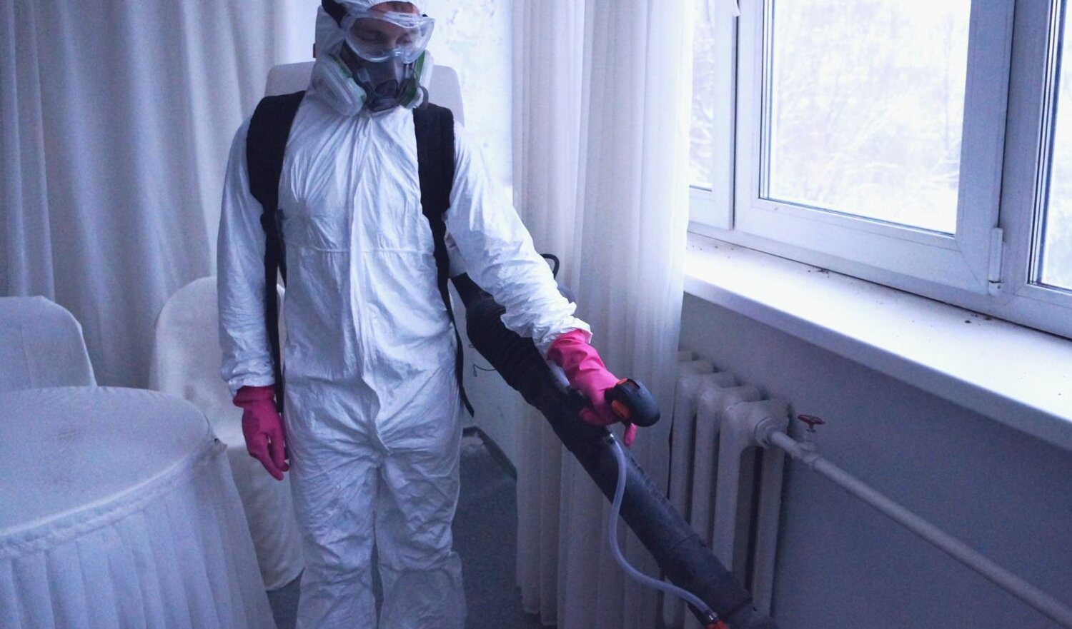 ФОТО Нужно ли выносить растения при дезинсекции в Пироговском? | подробно