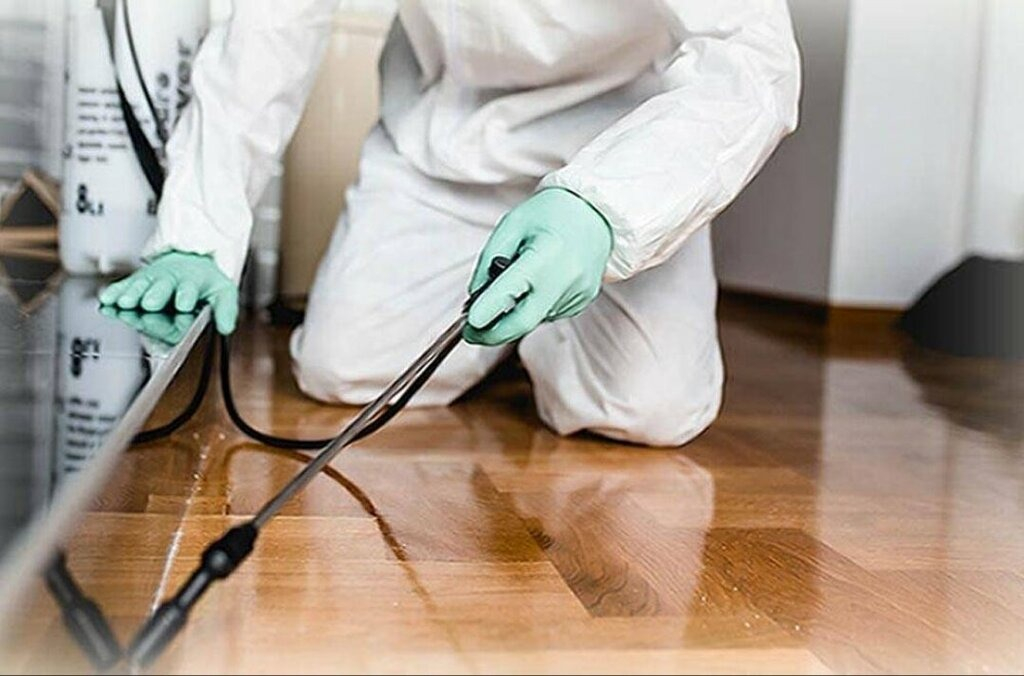 ФОТО Как подготовить вентиляцию при предстоящей дезинсекции в Пироговском?