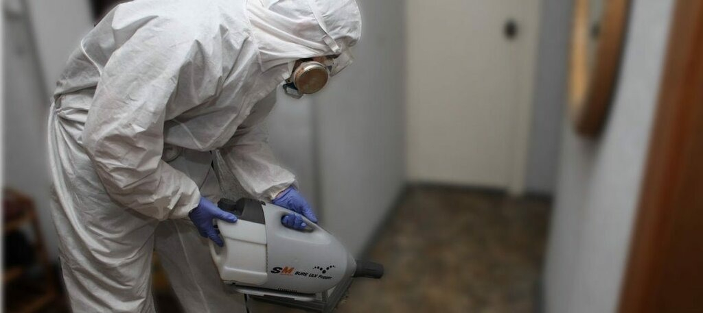 ФОТО Остаются ли следы после обработки квартиры от насекомых в Пироговском? | подробно