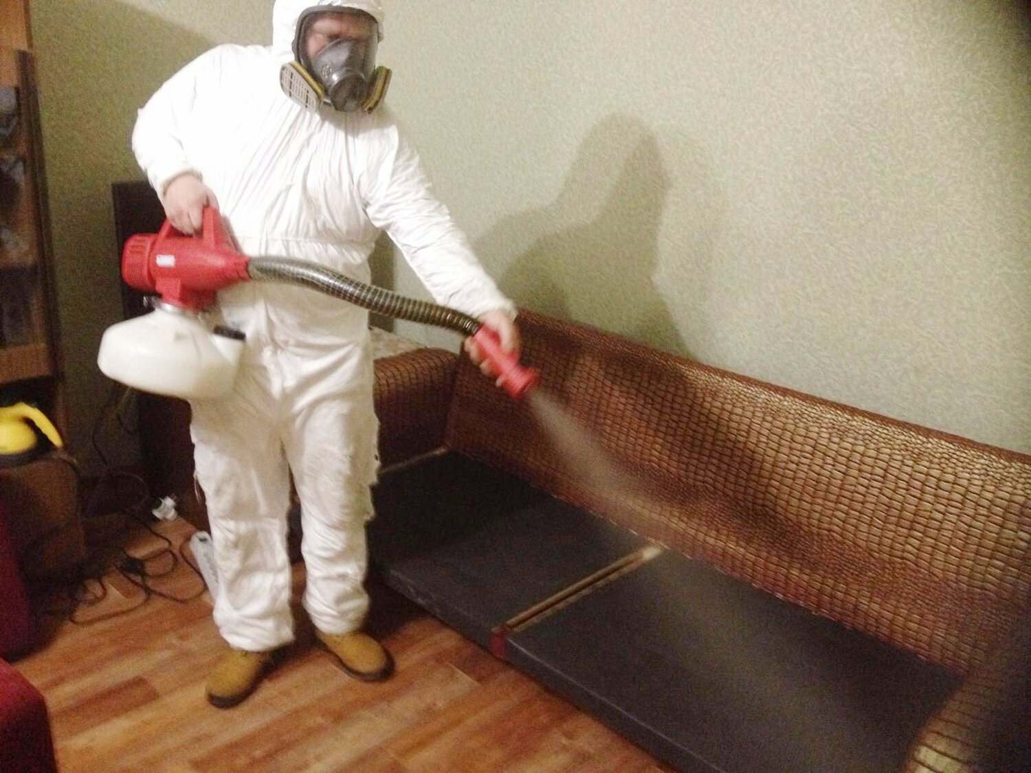 ФОТО Когда можно вернуться в помещение после дезинсекции в Пироговском? | подробно