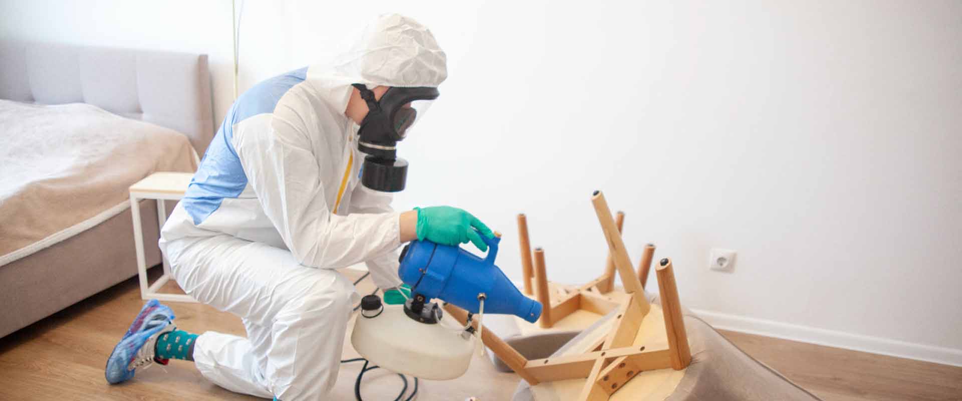 фото: Уничтожение постельных клопов с 1-го раза с гарантией за 30-60 мин. в Пироговском без предоплаты