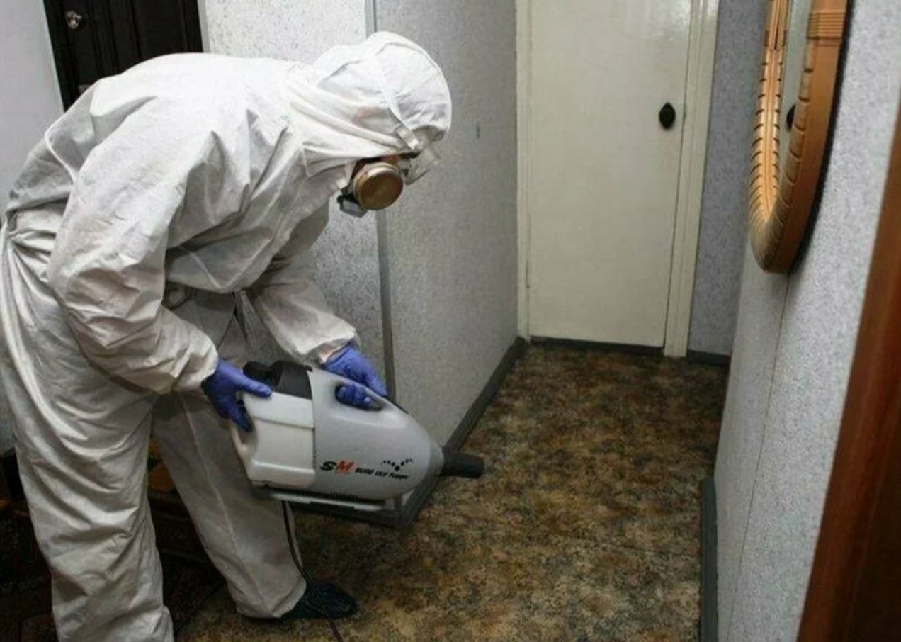 фото: Профессиональная дезинсекция в Пироговском: <br/>+7-909-173-42-96