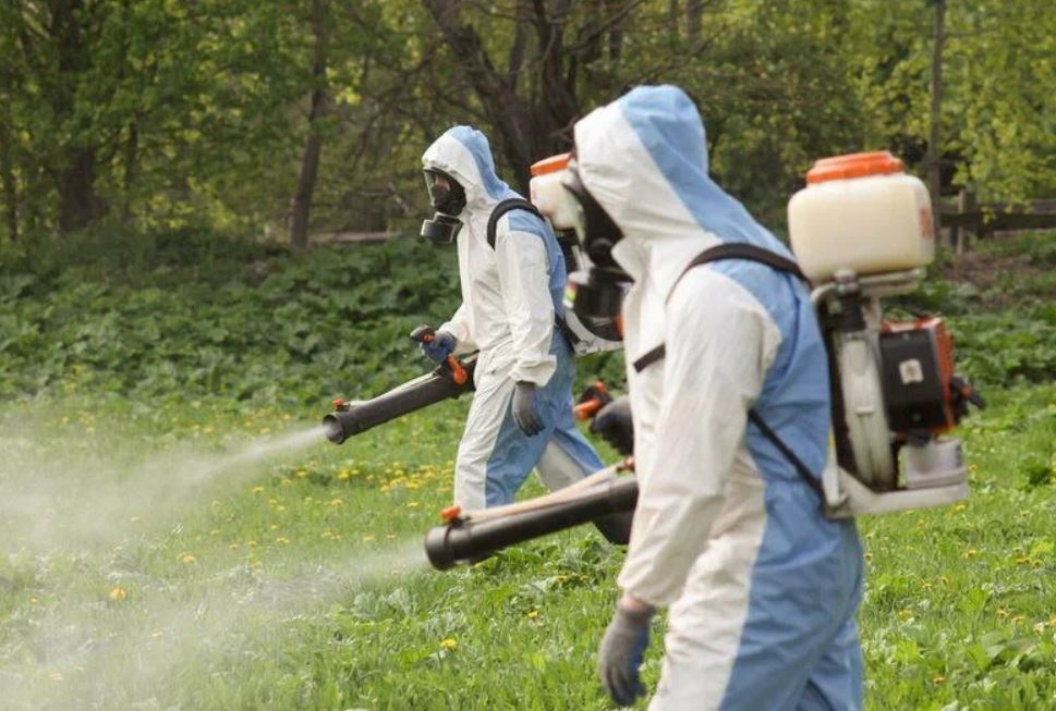 фото: Профессиональное уничтожение мух в Пироговском: <br/>+7-909-173-42-96